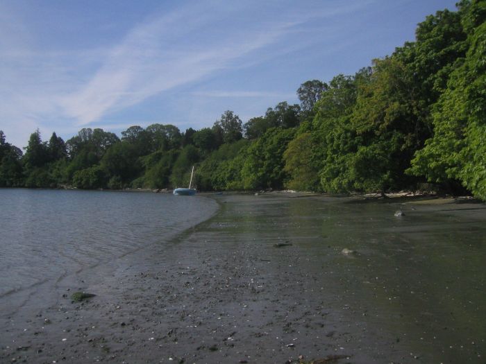 gal/2006-05-05 Careening/IMG_3159.jpg